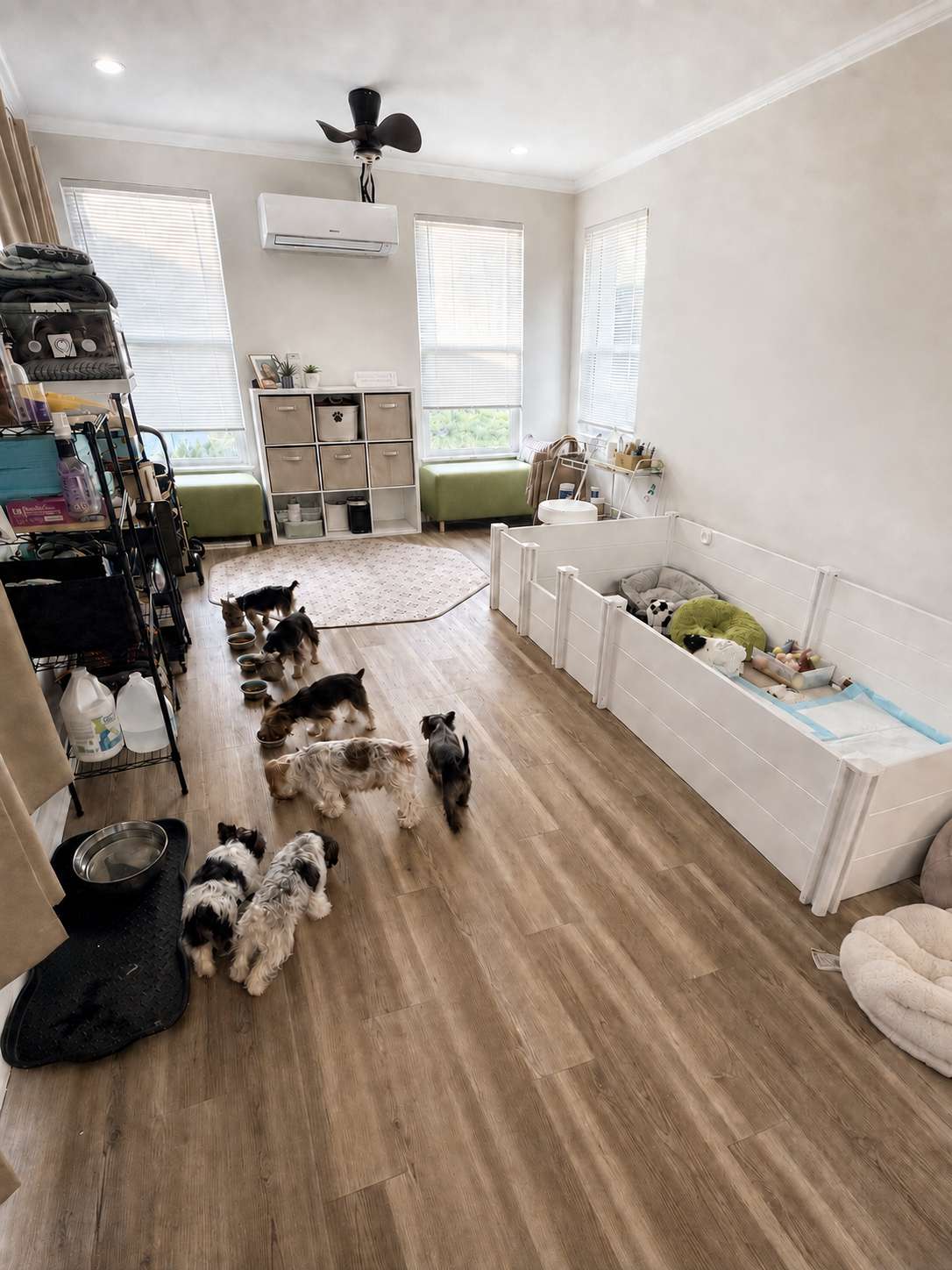 The full Yorktown doghouse with adult Yorkies, puppy nursery, beds, and indoor play space