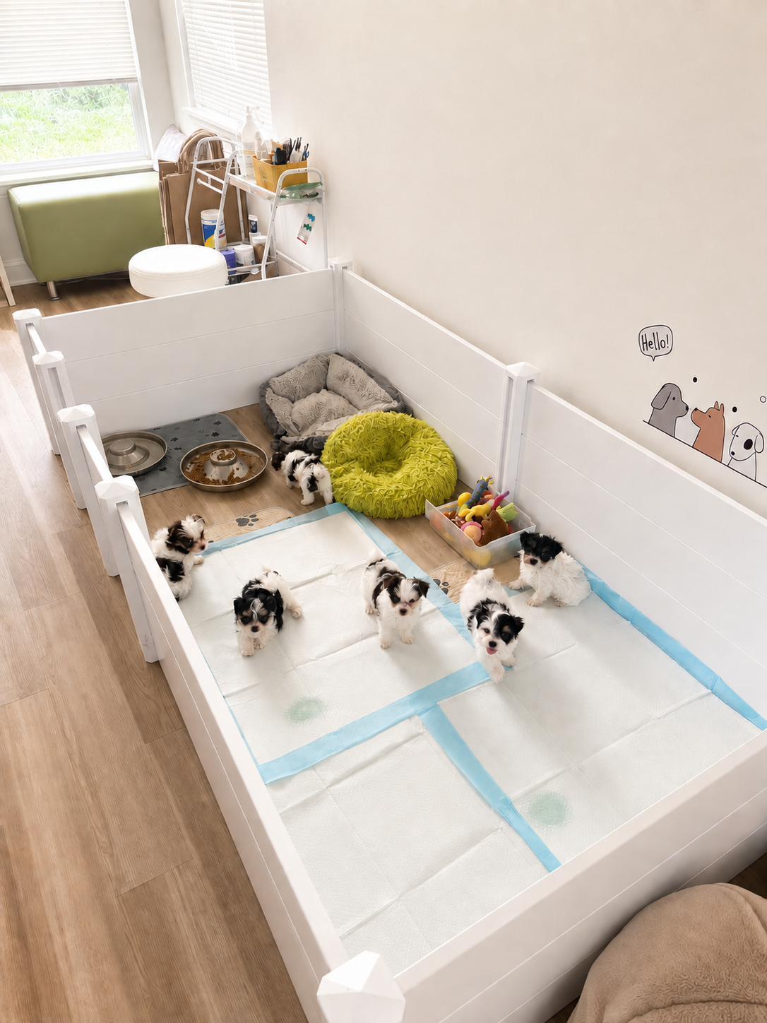 Yorktown Yorkie puppies inside their spacious indoor nursery and play area